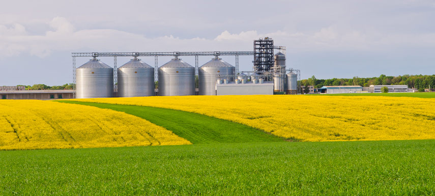 Cargill to build new palm oil refinery in Indonesia